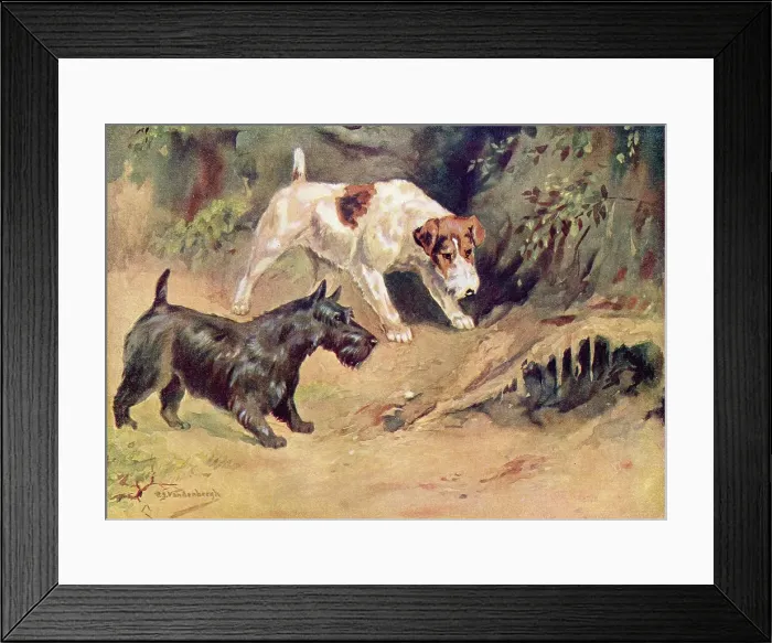 Framed Print : Curiosity, two terrier dogs inspecting a hole in the woods Framed Print : Curiosity, two terrier dogs inspecting a hole in the woods