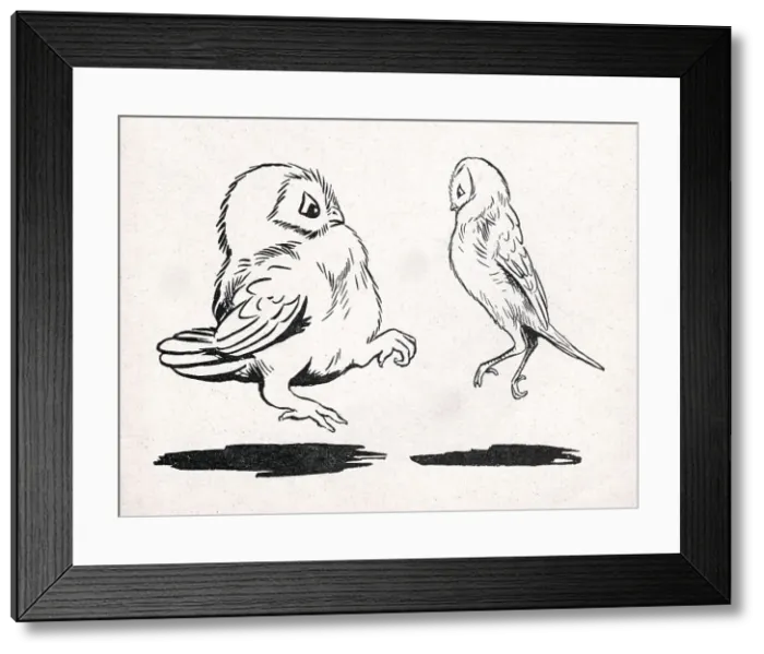 Framed Print : Barn Dance, Louis Wain Owls Framed Print : Barn Dance, Louis Wain Owls