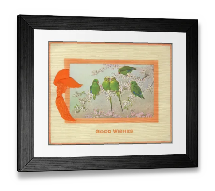 Framed Print : Good Wishes Greetings Card featuring five budgerigars Framed Print : Good Wishes Greetings Card featuring five budgerigars
