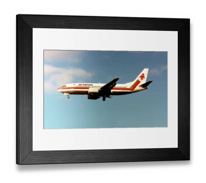 Framed Print : Boeing 737-382 CS-TIA Framed Print : Boeing 737-382 CS-TIA