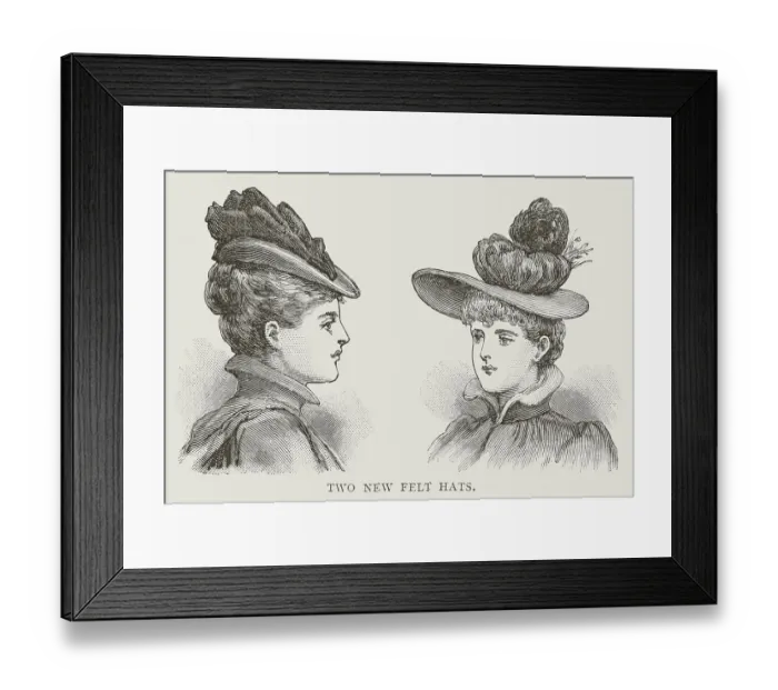 Framed Print : Late Victorian Fashion Framed Print : Late Victorian Fashion