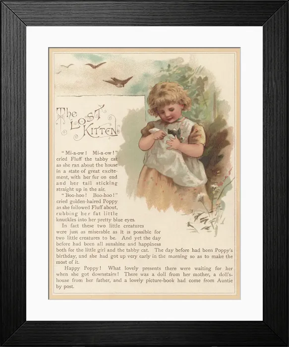 Framed Print : The Lost Kitten Framed Print : The Lost Kitten