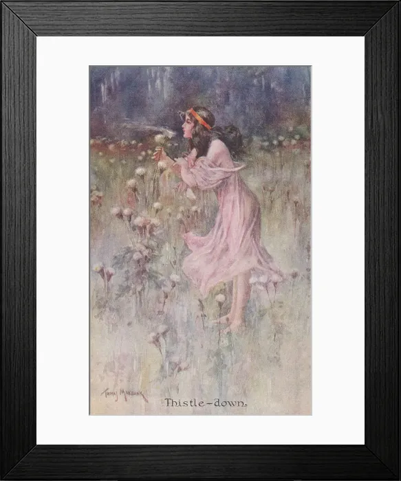 Framed Print : Thistle-down Framed Print : Thistle-down