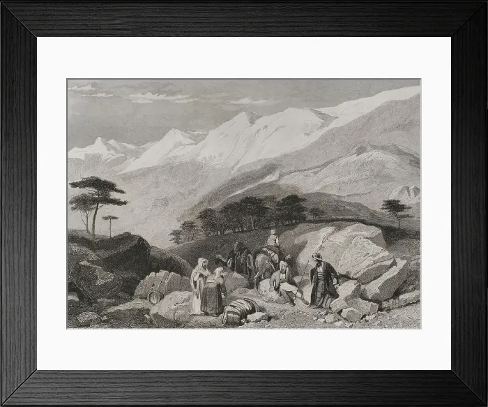 Framed Print : Mount Lebanon. Cedars. Engraving by Ransonnette Framed Print : Mount Lebanon. Cedars. Engraving by Ransonnette
