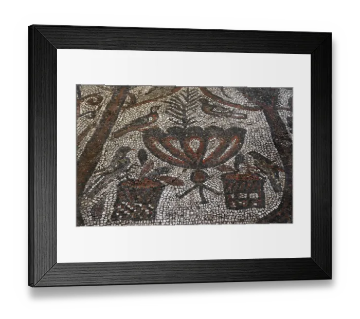 Framed Print : Floor mosaic from the Basilica of St. Sophia Framed Print : Floor mosaic from the Basilica of St. Sophia