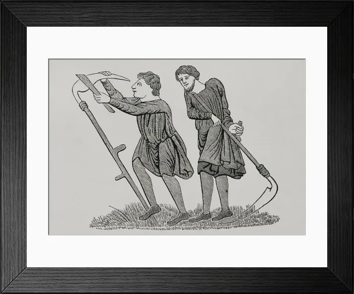 Framed Print : Settlers working the land, 12th century. Engraving Framed Print : Settlers working the land, 12th century. Engraving