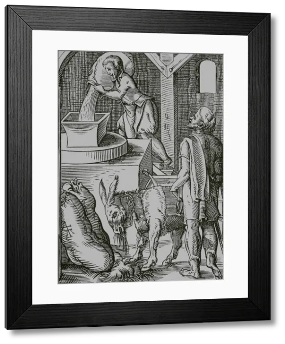 Framed Print : The miller, 16th century. Engraving Framed Print : The miller, 16th century. Engraving