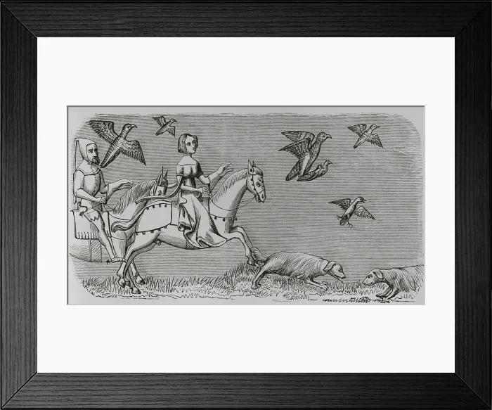 Framed Print : How to make your new falcon fly. Engraving after Framed Print : How to make your new falcon fly. Engraving after