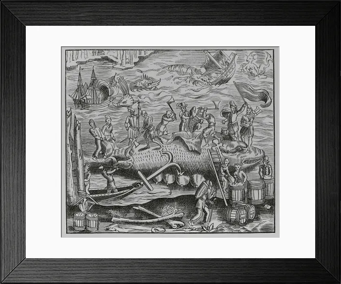 Framed Print : Wale fishing. Facsimile after a woodcut from La
