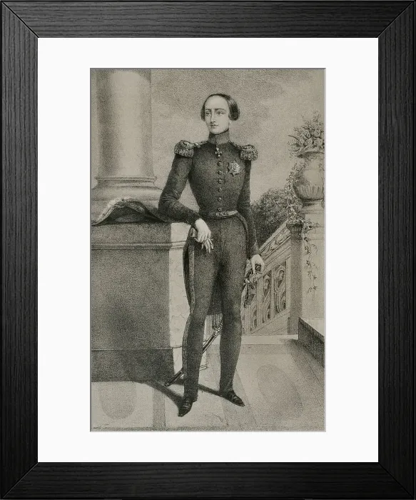 Framed Print : Leopold II of Belgium (1835-1909). King of Belgium Framed Print : Leopold II of Belgium (1835-1909). King of Belgium