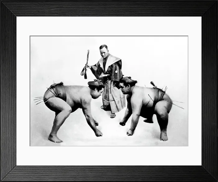 Framed Print : Sumo wrestlers, Japan, early 1900s Framed Print : Sumo wrestlers, Japan, early 1900s