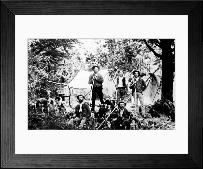 Framed Print : Musterers, New Zealand, early 1900s Framed Print : Musterers, New Zealand, early 1900s