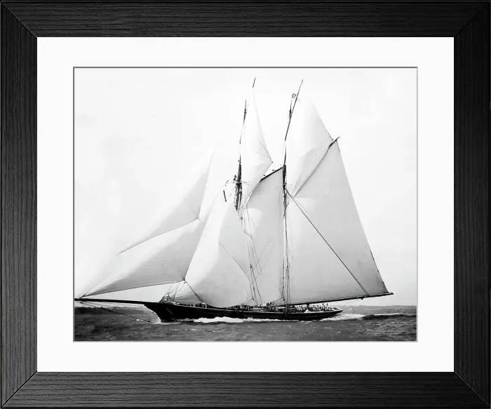 Framed Print : Racing Yacht Cetonia, Victorian period Framed Print : Racing Yacht Cetonia, Victorian period