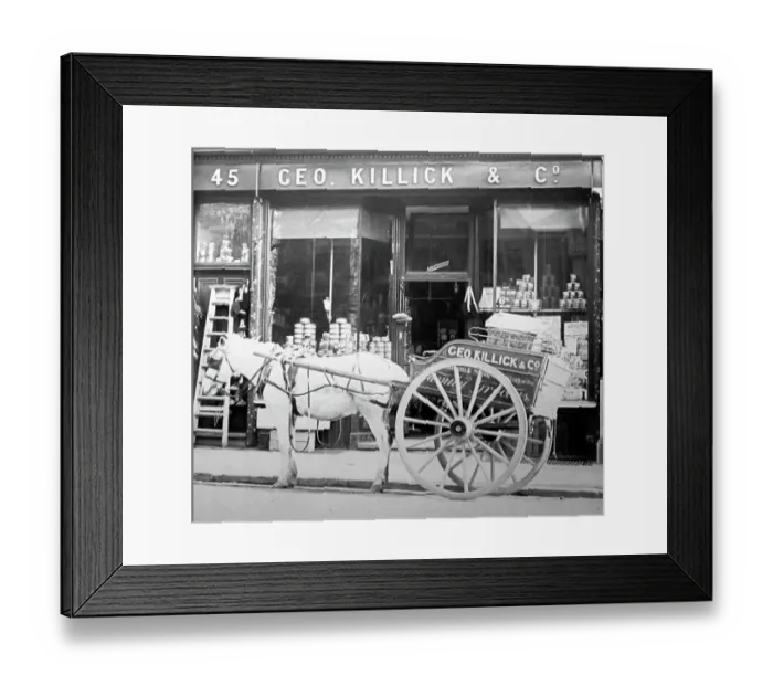 Framed Print : Grocer's shop, early 1900s Framed Print : Grocer's shop, early 1900s