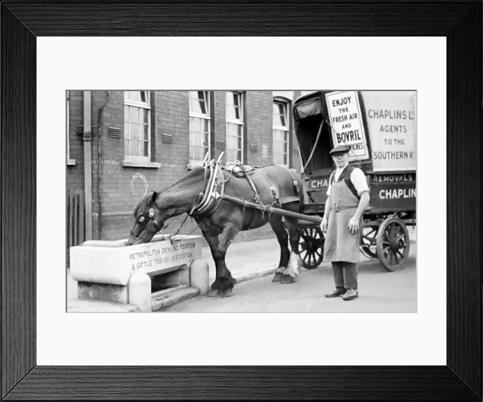 Framed Print : Metropolitan Drinking Fountain & Cattle Trough Assoc. trough Framed Print : Metropolitan Drinking Fountain & Cattle Trough Assoc. trough
