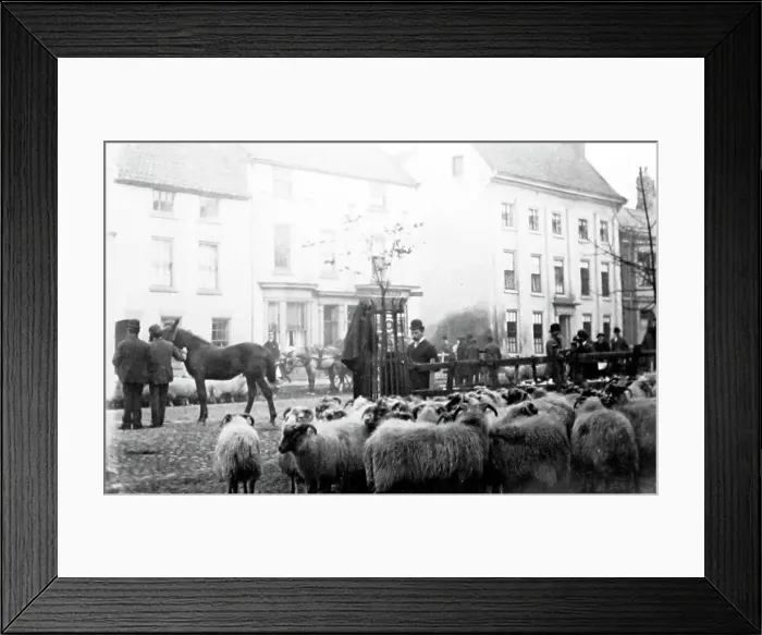Framed Print : October Sheep Fair, Yarm on Tees in the early 1880s Framed Print : October Sheep Fair, Yarm on Tees in the early 1880s