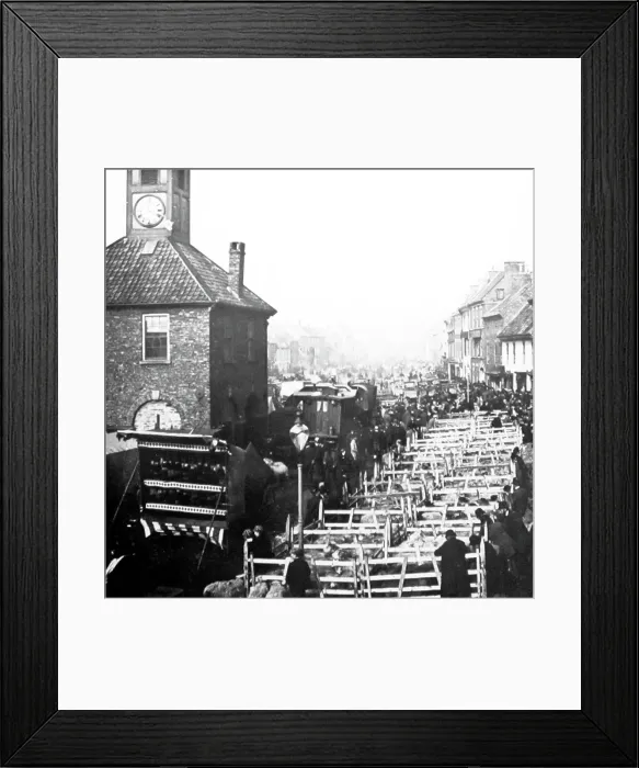 Framed Print : October Sheep Fair, Yarm on Tees in the early 1880s Framed Print : October Sheep Fair, Yarm on Tees in the early 1880s