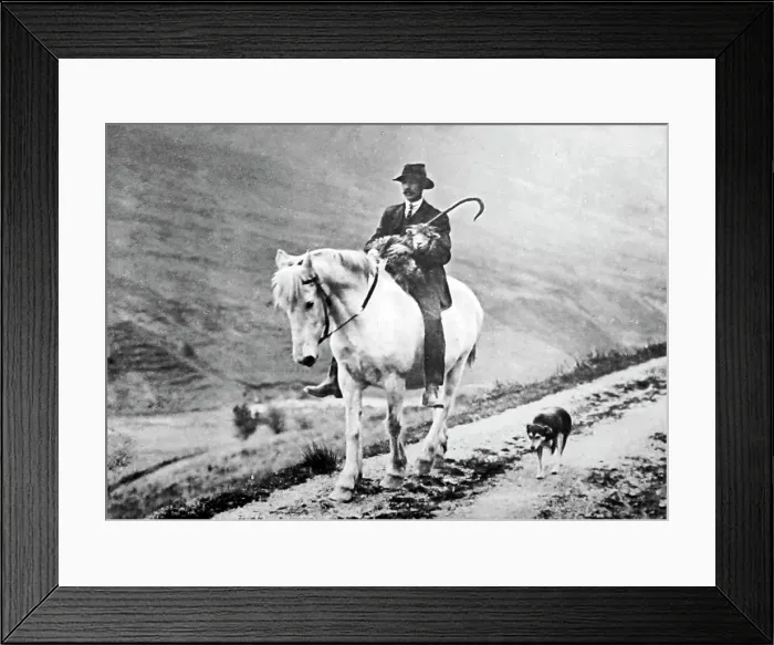 Framed Print : Shepherd with sheep, Lake District, Victorian period Framed Print : Shepherd with sheep, Lake District, Victorian period