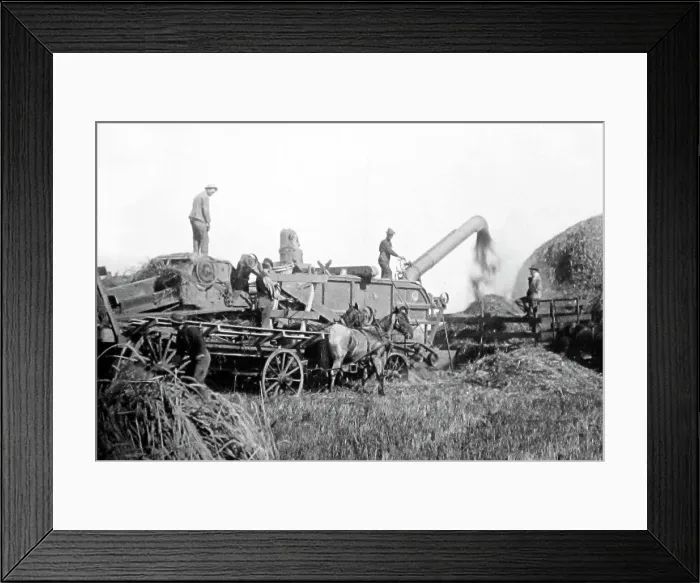 Framed Print : Theshing machine in Manitoba, Canada, Victorian period Framed Print : Theshing machine in Manitoba, Canada, Victorian period