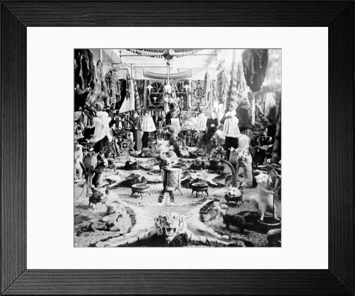 Framed Print : Lalibertes Fur Parlour, Quebec, Canada, Victorian period Framed Print : Lalibertes Fur Parlour, Quebec, Canada, Victorian period