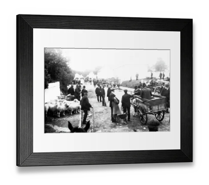 Framed Print : Roundwood (Tochar) Fair, Co. Wicklow, Ireland Framed Print : Roundwood (Tochar) Fair, Co. Wicklow, Ireland
