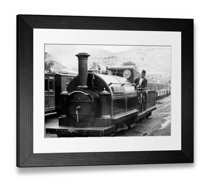 Framed Print : Welsh Pony, Ffestiniog Railway, Wales, Victorian period Framed Print : Welsh Pony, Ffestiniog Railway, Wales, Victorian period