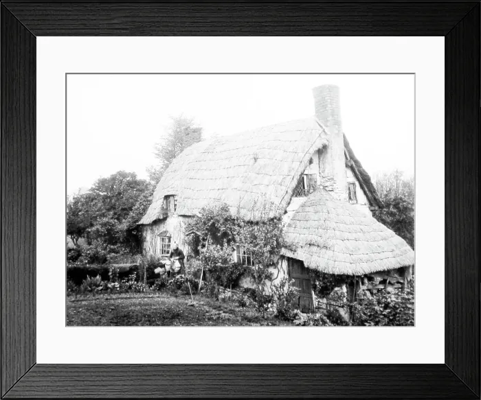 Framed Print : A thatched cottage in Broom, Warwickshire, Victorian period