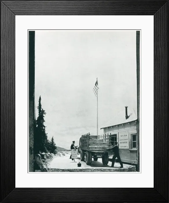 Framed Print : New York World's Fair, Quarantine Diorama Framed Print : New York World's Fair, Quarantine Diorama