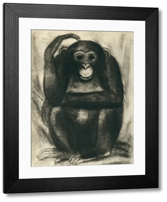 Framed Print : Aesop's Fables Chimp Framed Print : Aesop's Fables Chimp