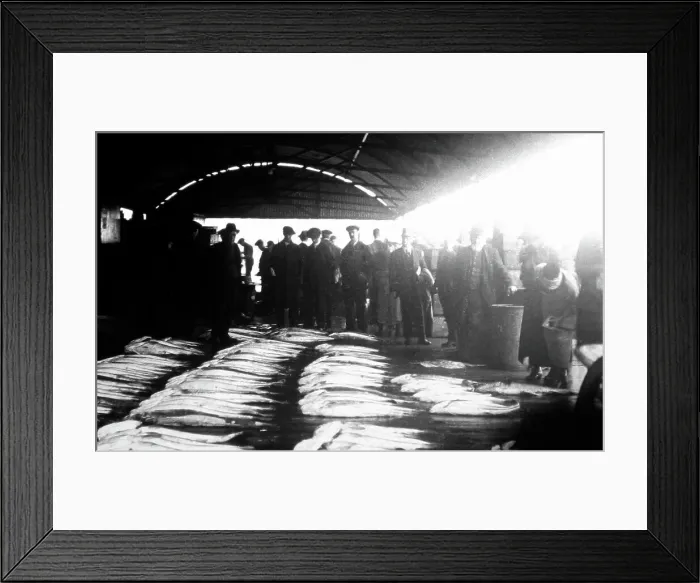 Framed Print : Whitby Fish Market Framed Print : Whitby Fish Market