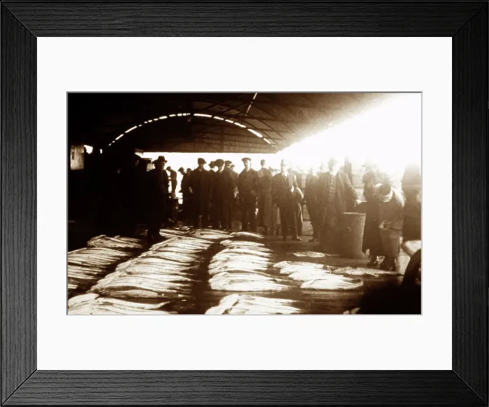 Framed Print : Whitby Fish Market Framed Print : Whitby Fish Market