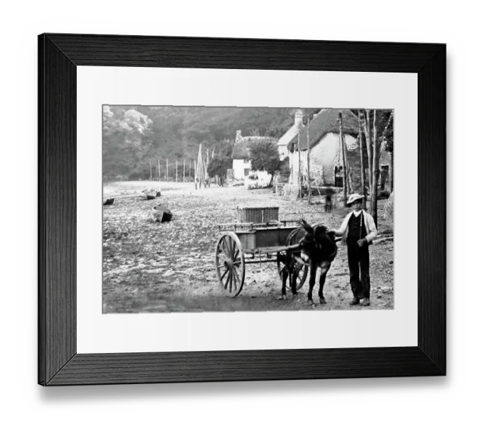 Framed Print : Dittisham, Devon Framed Print : Dittisham, Devon