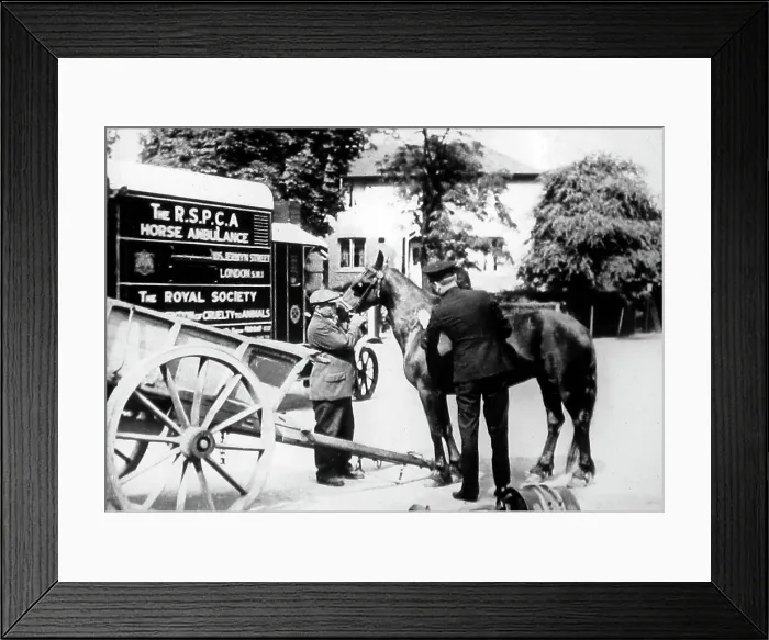 Framed Print : An RSPCA horse ambulance, London Framed Print : An RSPCA horse ambulance, London