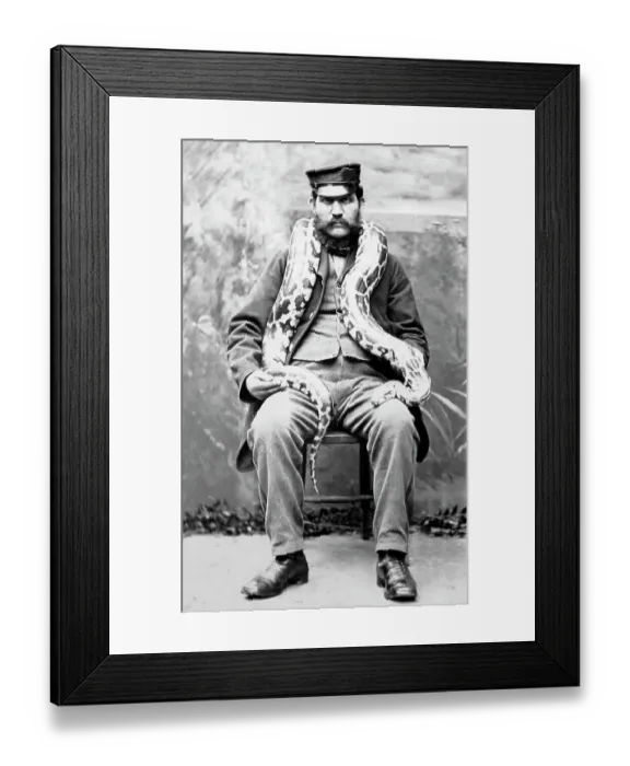 Framed Print : Keeper with snake at London Zoo Framed Print : Keeper with snake at London Zoo
