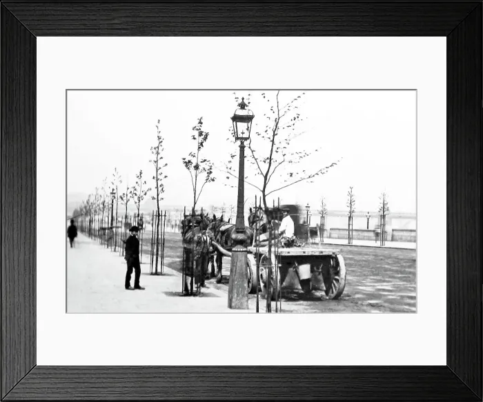 Framed Print : Horse and cart on London Embankment Framed Print : Horse and cart on London Embankment
