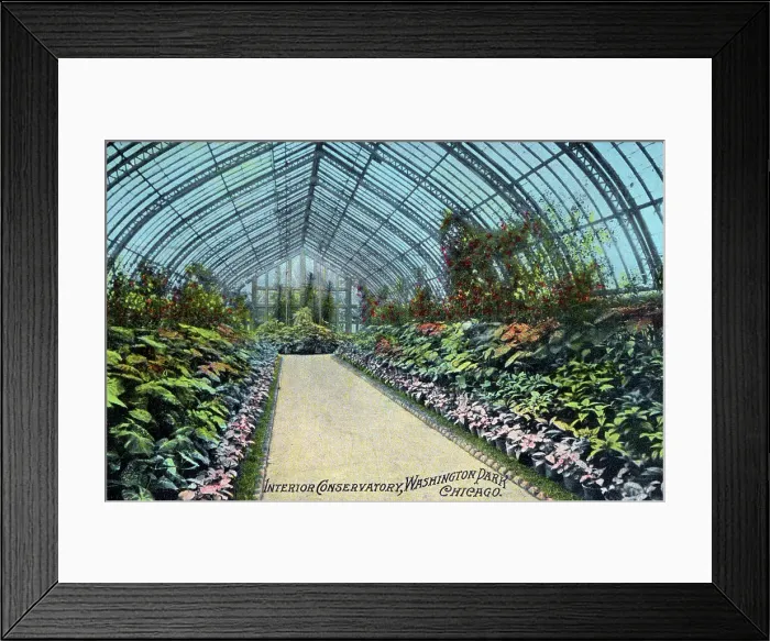 Framed Print : Interior of the Conservatory, Washington Park, Chicago Framed Print : Interior of the Conservatory, Washington Park, Chicago