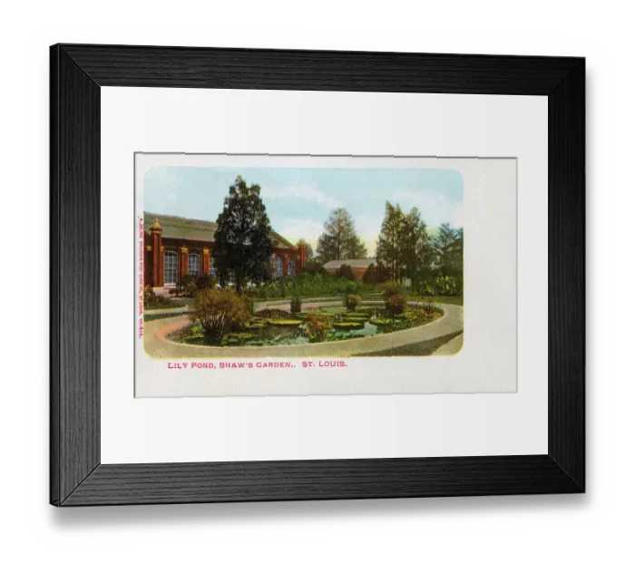 Framed Print : Lily Pond, Shaw';s Garden, St. Louis, Missouri, USA Framed Print : Lily Pond, Shaw';s Garden, St. Louis, Missouri, USA