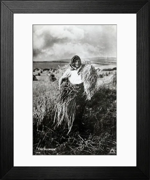 Framed Print : The Gleaner - Harvest Time Framed Print : The Gleaner - Harvest Time