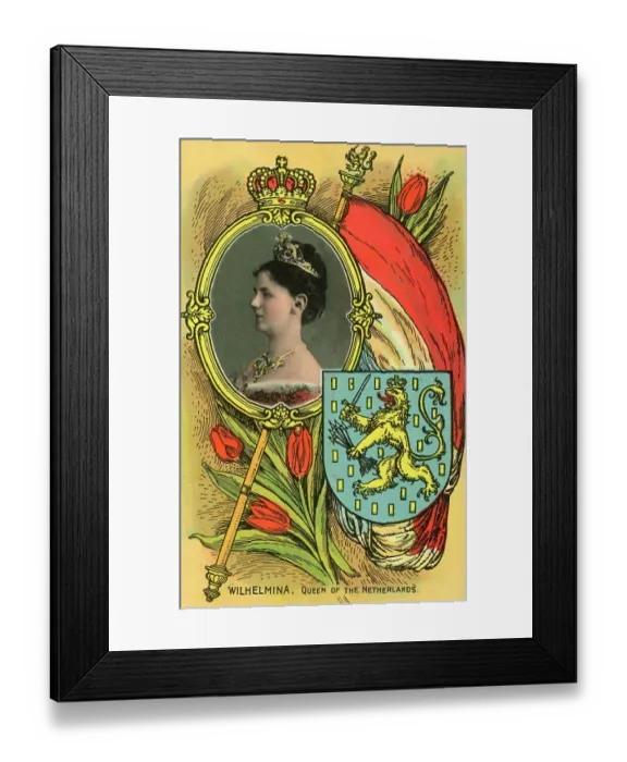 Framed Print : Wilhelmina (1880-1962) - Queen of The Netherlands Framed Print : Wilhelmina (1880-1962) - Queen of The Netherlands