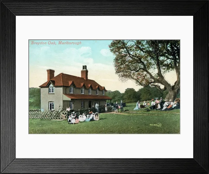 Framed Print : Braydon Oak, Savernake, Marlborough, Wiltshire Framed Print : Braydon Oak, Savernake, Marlborough, Wiltshire