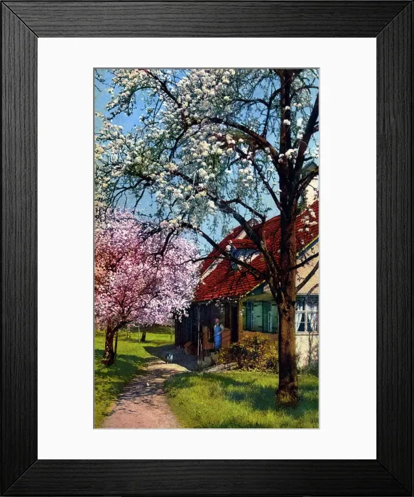 Framed Print : European Village scene with cherry blossom Framed Print : European Village scene with cherry blossom