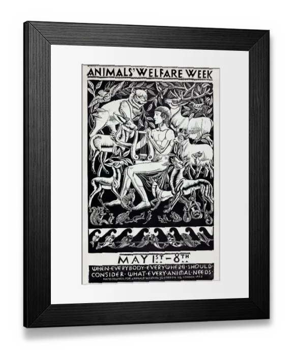 Framed Print : Animals Welfare Week Framed Print : Animals Welfare Week