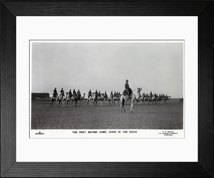 Framed Print : The First British Camel Corps in the Sudan Framed Print : The First British Camel Corps in the Sudan