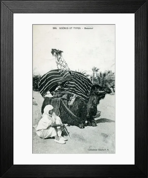 Framed Print : A camel palanquin (covered litter), southern Algeria Framed Print : A camel palanquin (covered litter), southern Algeria