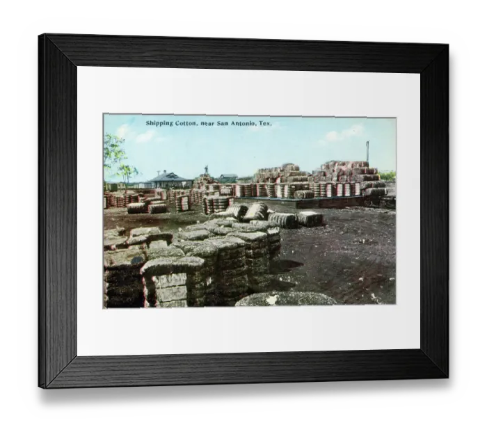 Framed Print : Shipping Cotton, near San Antonio, Texas, USA
