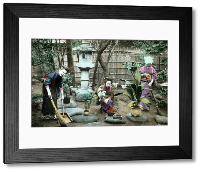 Framed Print : Gardening in Japan Framed Print : Gardening in Japan