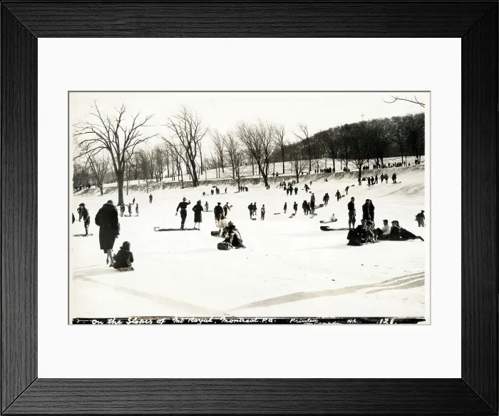 Framed Print : Montreal, Quebec, Canada - Sledging on Mt. Royal Framed Print : Montreal, Quebec, Canada - Sledging on Mt. Royal