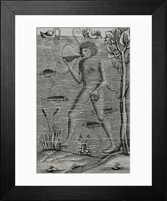 Framed Print : Medieval diver using bladder to breath. Engraving Framed Print : Medieval diver using bladder to breath. Engraving