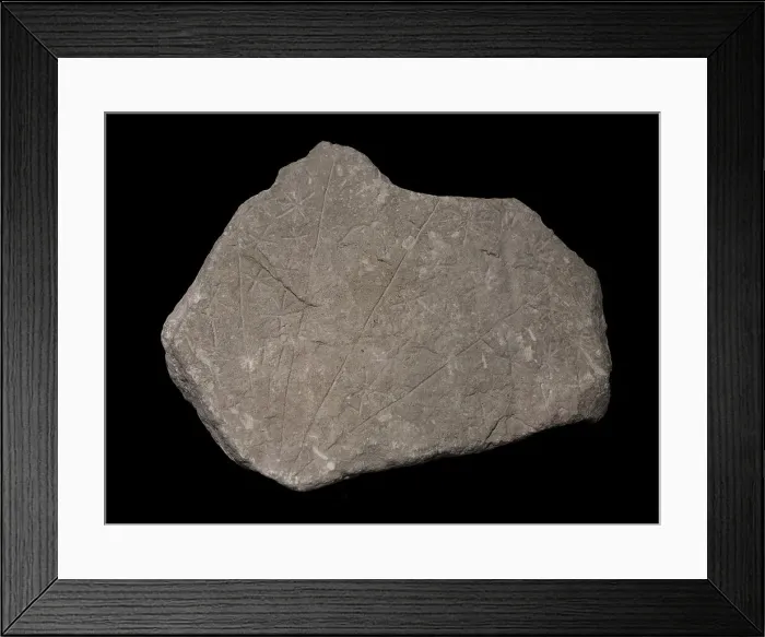 Framed Print : Temple Period (4000 to 2500 BC). Malta. Broken Framed Print : Temple Period (4000 to 2500 BC). Malta. Broken