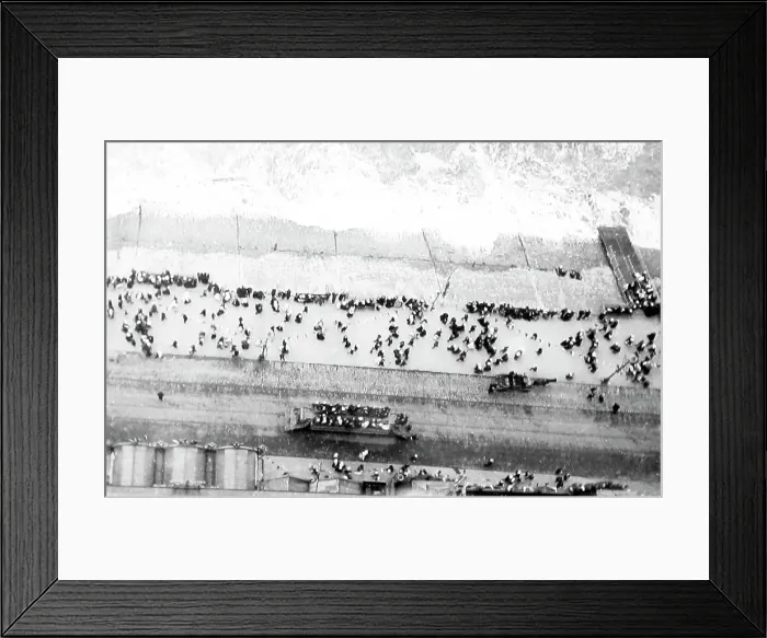 Framed Print : View of the Promenade from the top of Blackpool Tower Framed Print : View of the Promenade from the top of Blackpool Tower